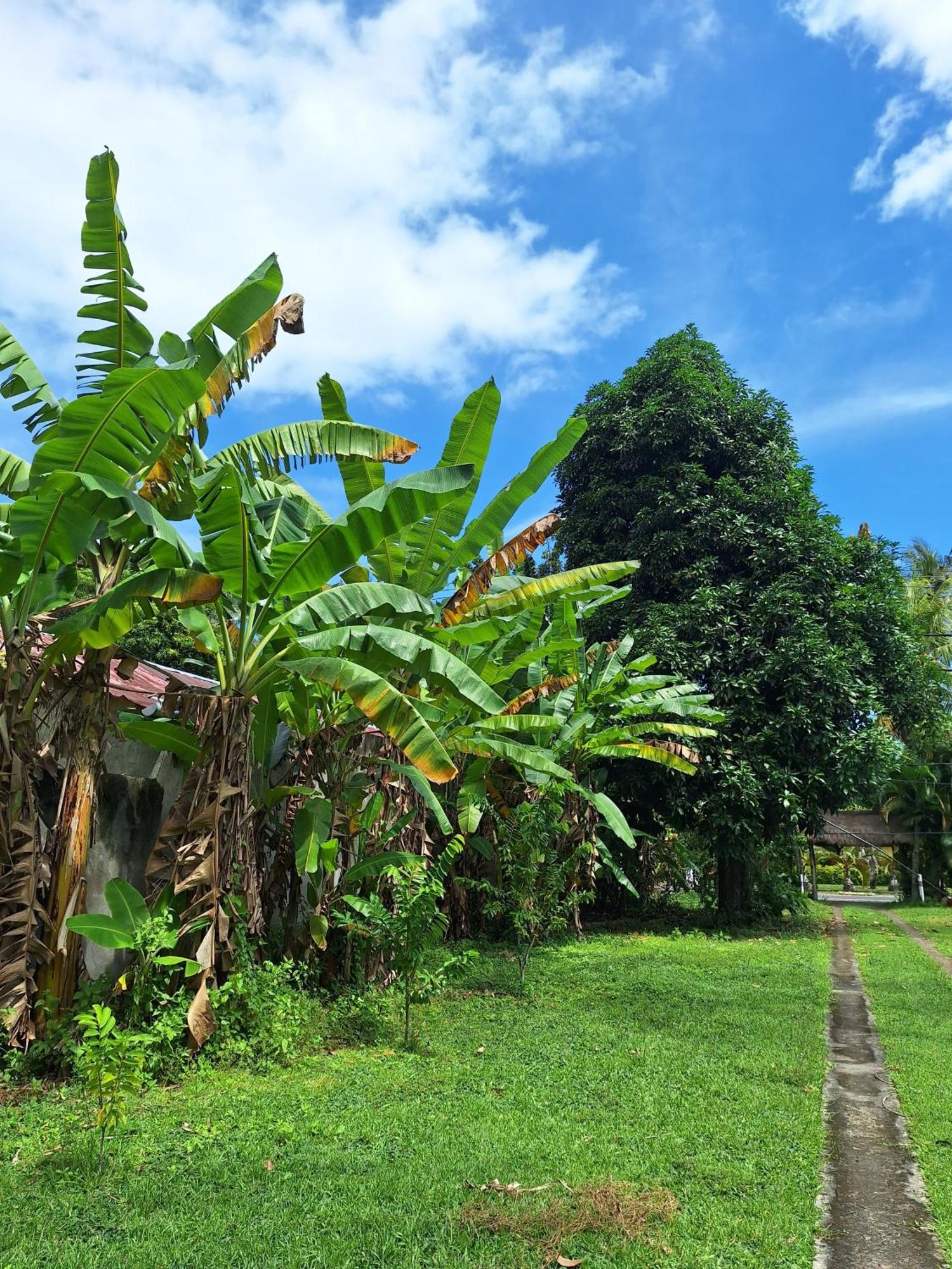 Lendang Eco Lodge Senggigi Extérieur photo